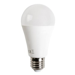 LED A5 A60 E27 19W 6400K