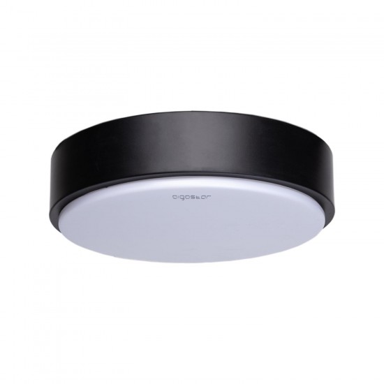 Luz de techo LED02 12W 3000K Borde negro / superficie montada