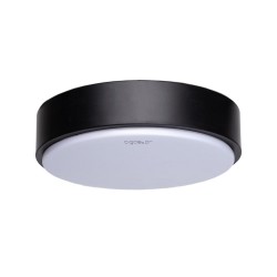 Luz de techo LED02 12W 6500K Borde negro / superficie montada