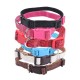 Collar para gato(XS,W1.0*L20-30cm, perros)