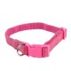 Collar para gato(XS,W1.0*L20-30cm, perros)