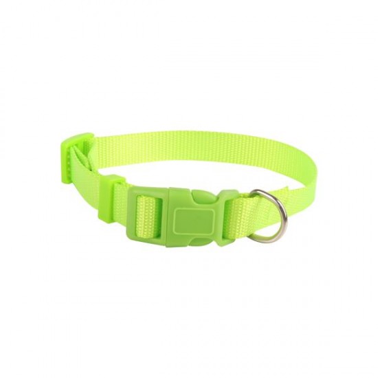 Collares fluorescentes(XS,W1.0*L20-30cm, perros)