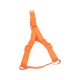 Set de arneses fluorescentes(S,W1.5*L30-50cm, perros)