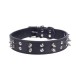 Collar para gato de PU con remaches(XS,W3.0*L37-48cm, perros)