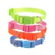 Collares fluorescentes(S,W1.5*L25-40cm, perros)