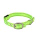 Collar para perros de LED(W2.5*L36-44cm,verde fluorescente,perros)