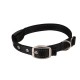 Collar para perros de LED(W2.5*L40-48cm,Negro,perros)