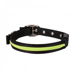 Collar para perros de LED(W2.5*L40-48cm,Negro,perros)