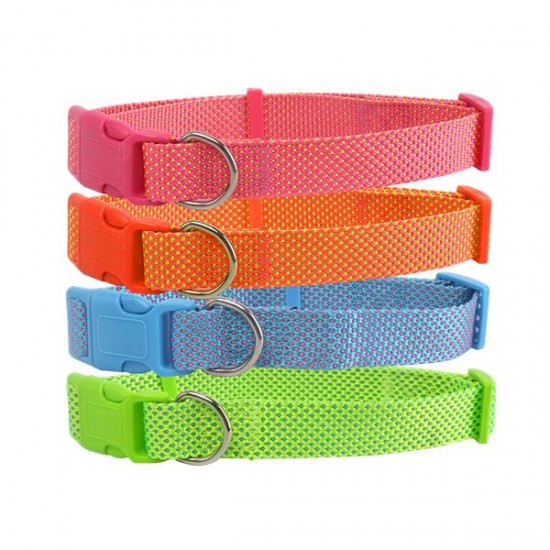 Collar de perro w1.0*l20-30cm