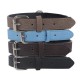 Collar de perro w2.5*l55cm