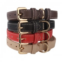 Collar de perro w2.5*l55cm