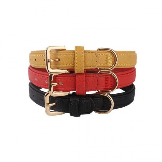 Collar de perro w1.5*l35cm