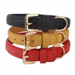 Collar de perro w2.5*l55cm