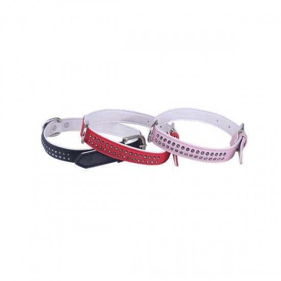 Collar de perro w1.5*l35cm