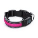 Usb recargable led collar de perro w2.5 * l31-41cm(s)