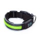 Usb recargable led collar de perro w2.5 * l31-41cm(s)