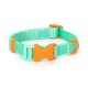 Nylon de color collar de perro w2.5 * l40-60cm